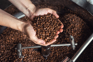 Fresh organic coffee beans - Terranova Coffee Company