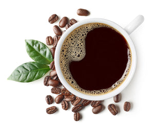 Terranova Coffee Company - Cup of Organic Coffee