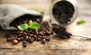 Terranova Coffee Company Organic Coffee Products