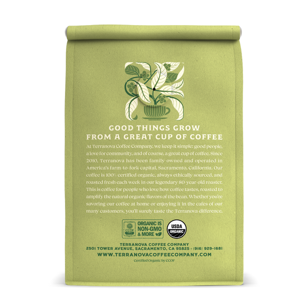 Spicy Eggnog-Terranova Coffee Co.