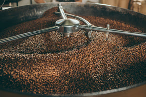 Roasted coffee beans cooling after drum roasting in a commercial roastery