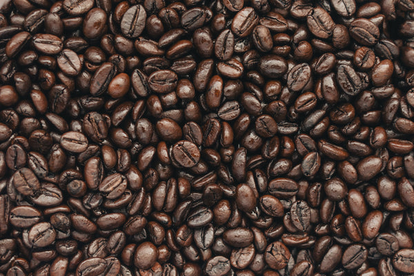 Dark Roast - Terranova Coffee Company