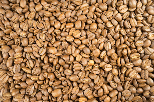 Light Roast - Terranova Coffee Company