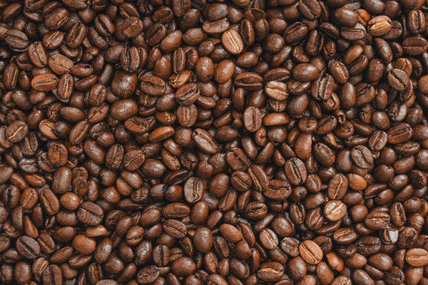 Medium Roast - Terranova Coffee Company