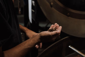 A close-up shot of a person's hands holding roasted coffee beans, with a large coffee roaster visible in the background.